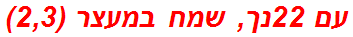 עם 22נך, שמח במעצר (2,3)