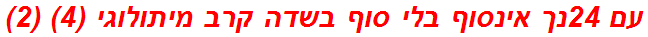 עם 24נך אינסוף בלי סוף בשדה קרב מיתולוגי (4) (2)