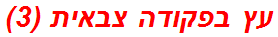 עץ בפקודה צבאית (3)