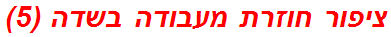 ציפור חוזרת מעבודה בשדה (5)