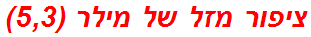 ציפור מזל של מילר (5,3)