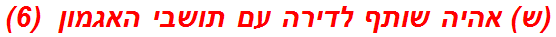 (ש) אהיה שותף לדירה עם תושבי האגמון  (6)