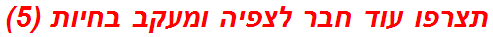 תצרפו עוד חבר לצפיה ומעקב בחיות (5)