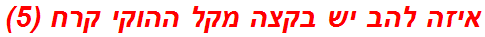 איזה להב יש בקצה מקל ההוקי קרח (5)