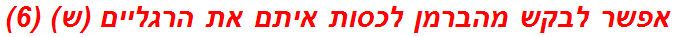 אפשר לבקש מהברמן לכסות איתם את הרגליים (ש) (6)