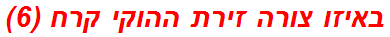 באיזו צורה זירת ההוקי קרח (6)