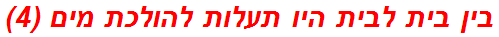 בין בית לבית היו תעלות להולכת מים (4)