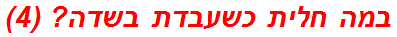 במה חלית כשעבדת בשדה? (4)