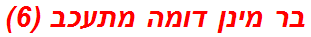 בר מינן דומה מתעכב (6)