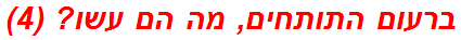 ברעום התותחים, מה הם עשו? (4)