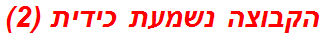 הקבוצה נשמעת כידית (2)