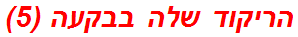 הריקוד שלה בבקעה (5)