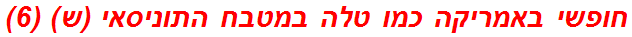 חופשי באמריקה כמו טלה במטבח התוניסאי (ש) (6)