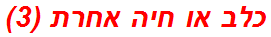 כלב או חיה אחרת (3)