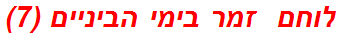 לוחם  זמר בימי הביניים (7)