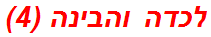 לכדה והבינה (4)