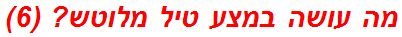 מה עושה במצע טיל מלוטש? (6)