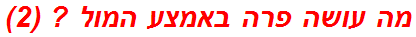 מה עושה פרה באמצע המול ? (2)