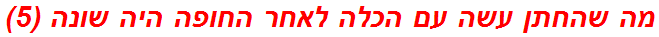 מה שהחתן עשה עם הכלה לאחר החופה היה שונה (5)