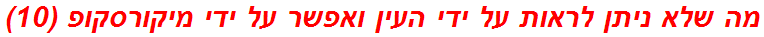 מה שלא ניתן לראות על ידי העין ואפשר על ידי מיקורסקופ (10)