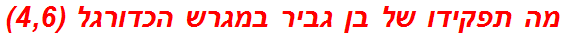 מה תפקידו של בן גביר במגרש הכדורגל (4,6)