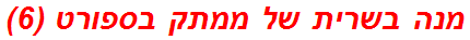 מנה בשרית של ממתק בספורט (6)