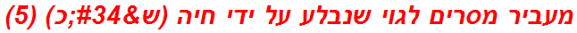 מעביר מסרים לגוי שנבלע על ידי חיה (ש"כ) (5)