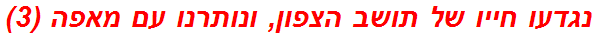 נגדעו חייו של תושב הצפון, ונותרנו עם מאפה (3)