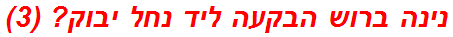 נינה ברוש הבקעה ליד נחל יבוק? (3)