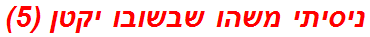 ניסיתי משהו שבשובו יקטן (5)