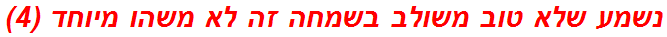 נשמע שלא טוב משולב בשמחה זה לא משהו מיוחד (4)