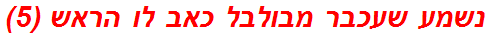 נשמע שעכבר מבולבל כאב לו הראש (5)