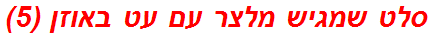 סלט שמגיש מלצר עם עט באוזן (5)