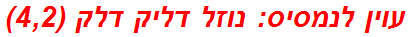 עוין לנמסיס: נוזל דליק דלק (4,2)