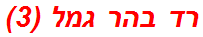 רד בהר גמל (3)