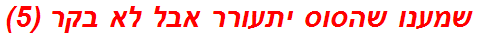 שמענו שהסוס יתעורר אבל לא בקר (5)