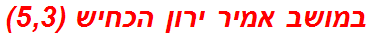 במושב אמיר ירון הכחיש (5,3)