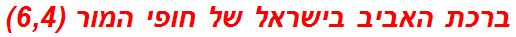 ברכת האביב בישראל של חופי המור (6,4)