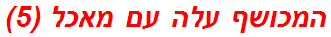 המכושף עלה עם מאכל (5)