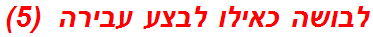 לבושה כאילו לבצע עבירה  (5)