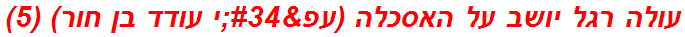 עולה רגל יושב על האסכלה (עפ"י עודד בן חור) (5)