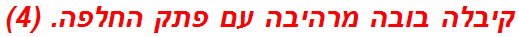 קיבלה בובה מרהיבה עם פתק החלפה. (4)