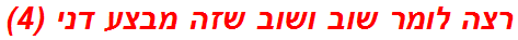 רצה לומר שוב ושוב שזה מבצע דני (4)