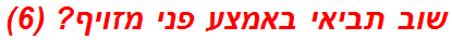 שוב תביאי באמצע פני מזויף? (6)