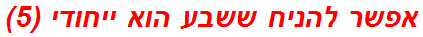 אפשר להניח ששבע הוא ייחודי (5)