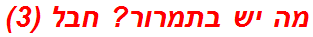 מה יש בתמרור? חבל (3)