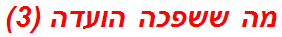 מה ששפכה הועדה (3)