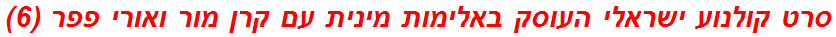 סרט קולנוע ישראלי העוסק באלימות מינית עם קרן מור ואורי פפר (6)