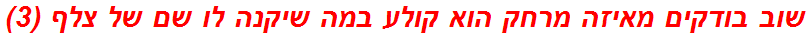 שוב בודקים מאיזה מרחק הוא קולע במה שיקנה לו שם של צלף (3)