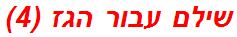 שילם עבור הגז (4)